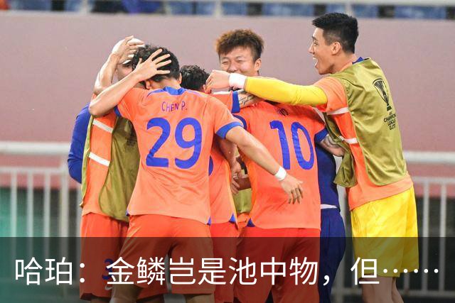 哈珀：金鳞岂是池中物，但……